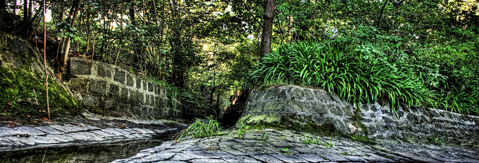 在线电话轰炸测试